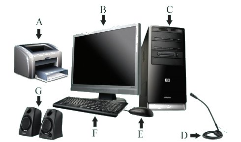 6 ශ්‍රේණිය ICT: මගේ ICT පොත